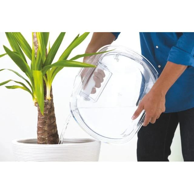 Easy Case Candy : réservoir transparent du sèche-linge réutilisé en arrosoir pour le jardin