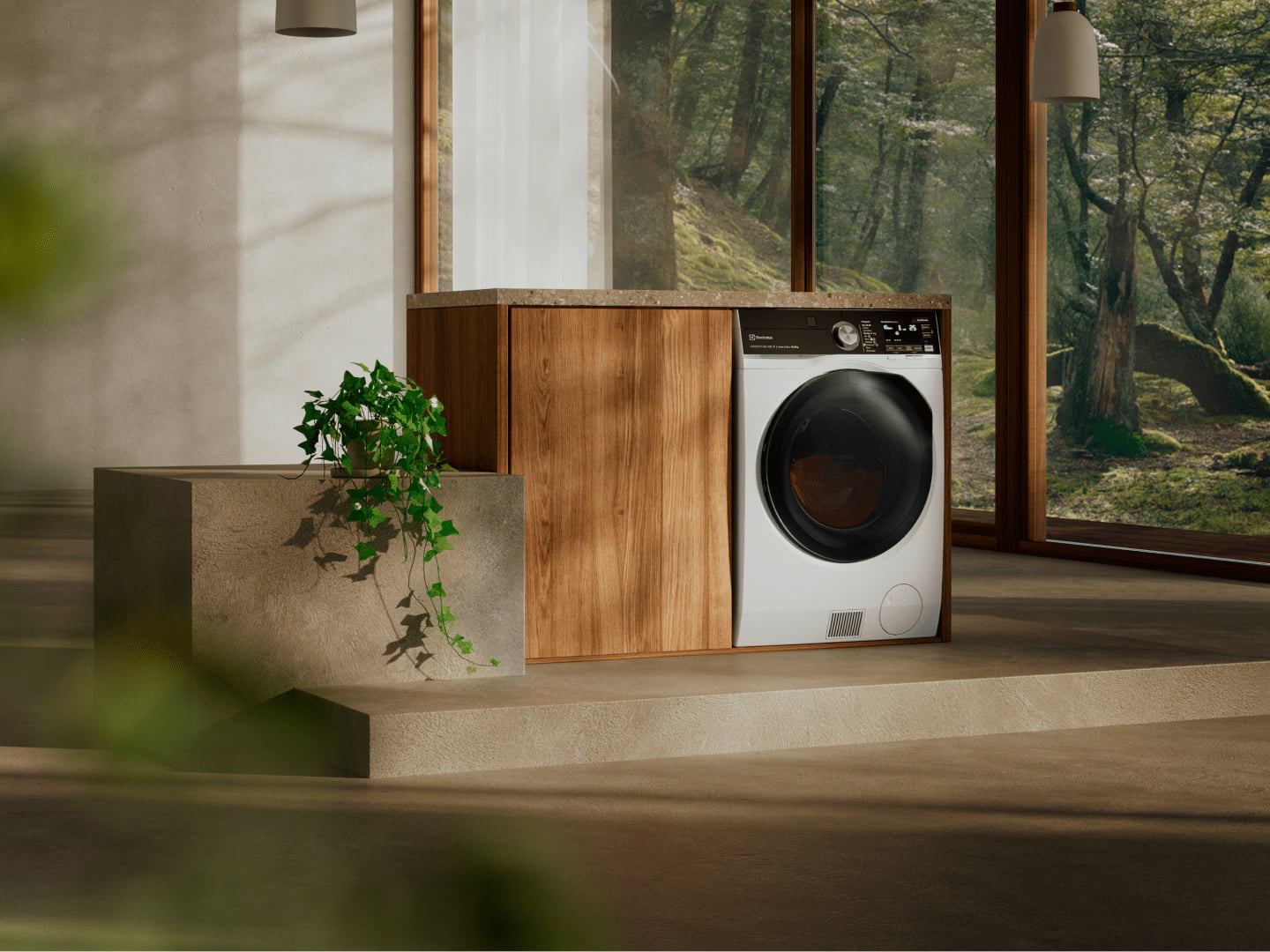 Lave-linge sechant Electrolux DualCare Ecoline dans interieur design