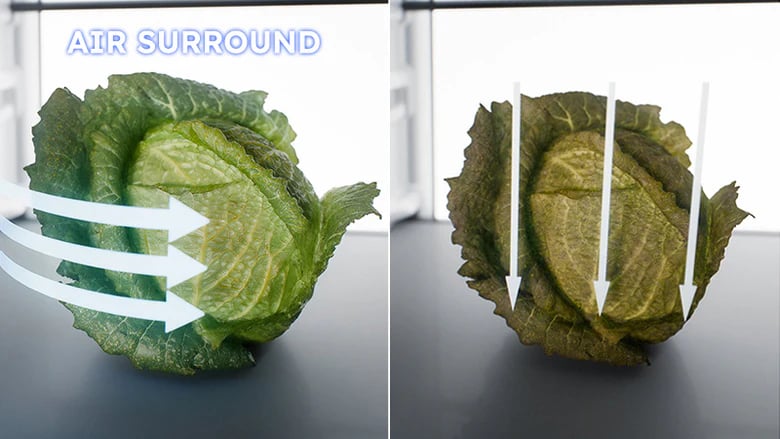 Comparatif Air Surround Haier : chou frais vs flétri avec flux d'air visualisé
