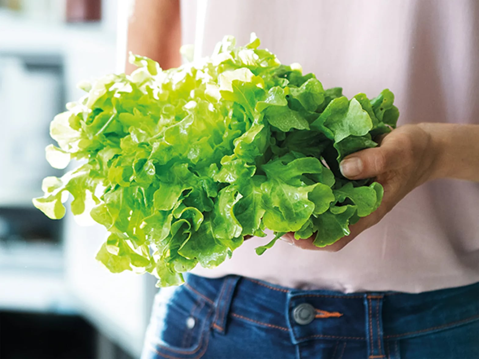 Salade verte fraîche préservée par MultiAirflow réfrigérateur Siemens